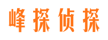 冷水滩市调查公司